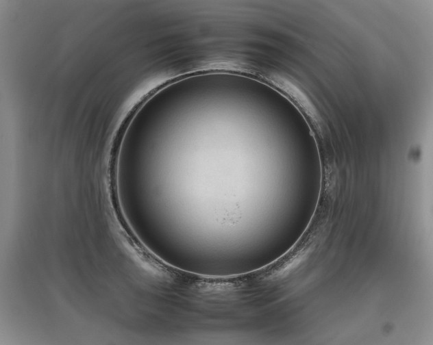 X0000097921043200803141436