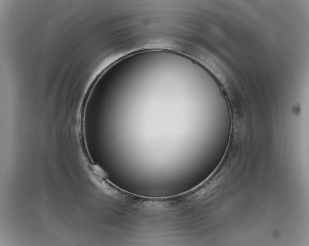 X0000097921044200803141436