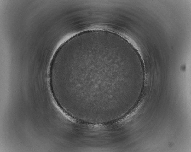 X0000097921045200803141436