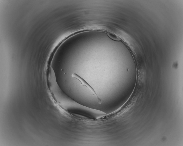X0000097921046200803141436
