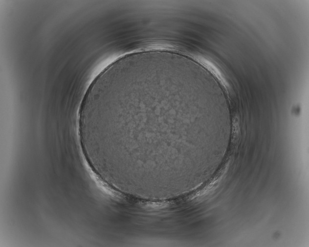 X0000097921047200803141436