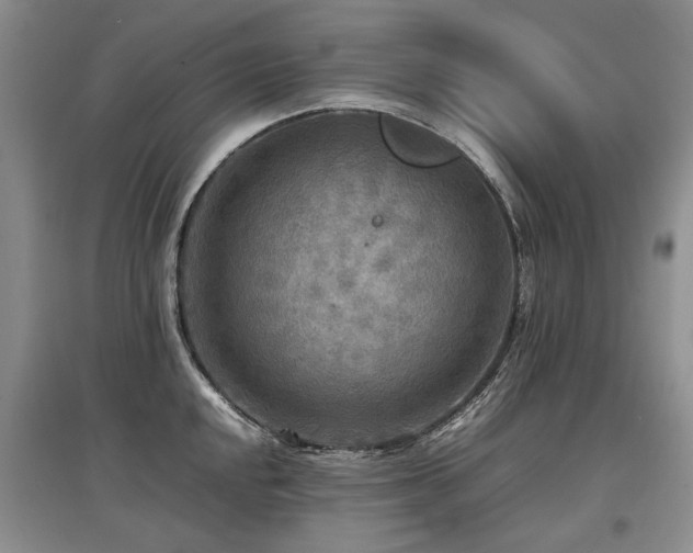 X0000097921048200803141436