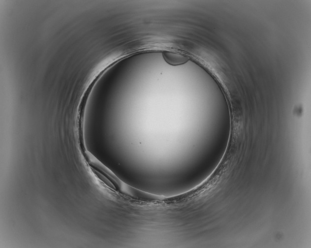 X0000097921050200803141436