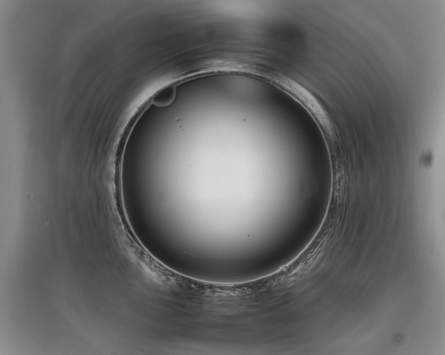 X0000097921051200803141436