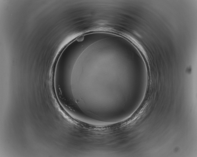 X0000097921053200803141436