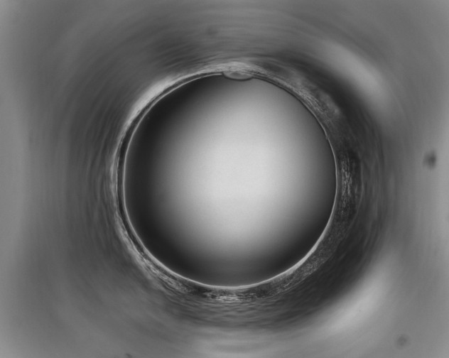 X0000097921054200803141436