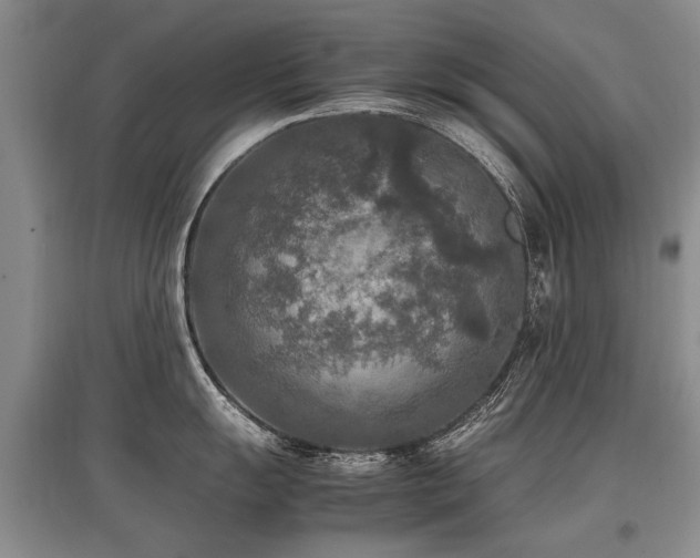 X0000097921055200803141436