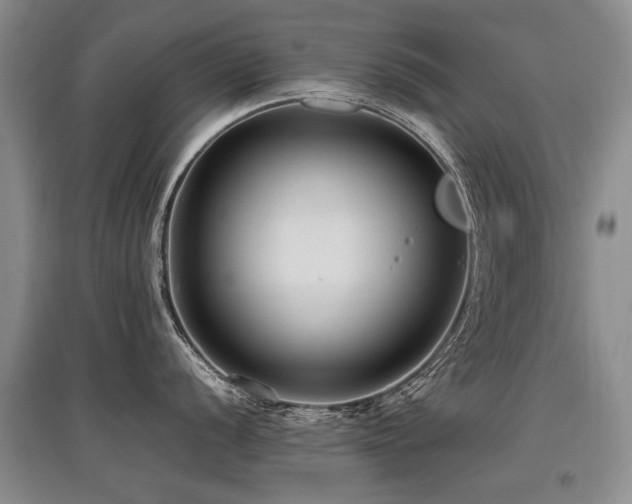 X0000097921056200803141437