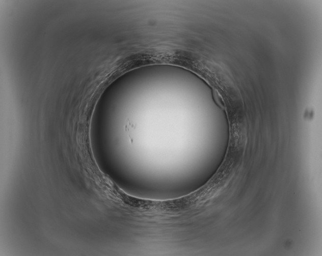 X0000097921057200803141436