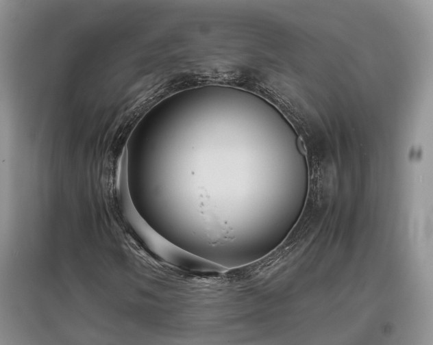 X0000097921058200803141435