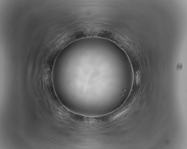 X0000097921059200803141435