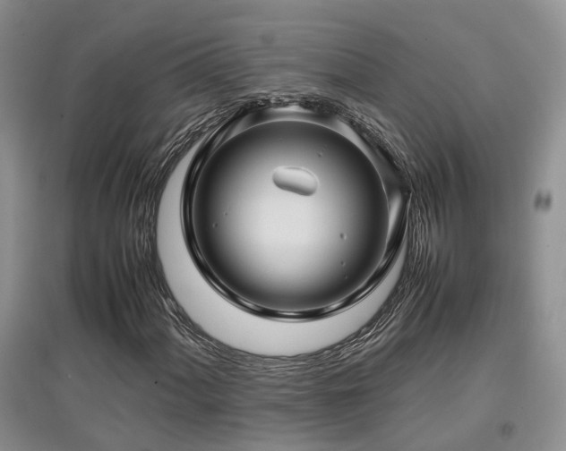 X0000097921060200803141435