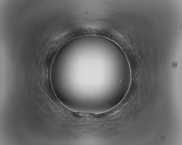X0000097921061200803141435