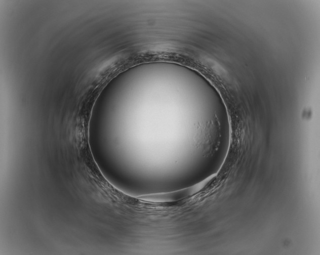 X0000097921062200803141435