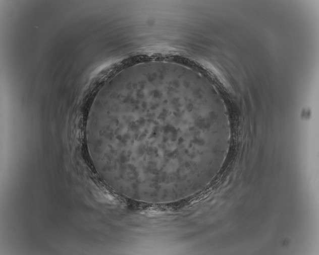 X0000097921063200803141435