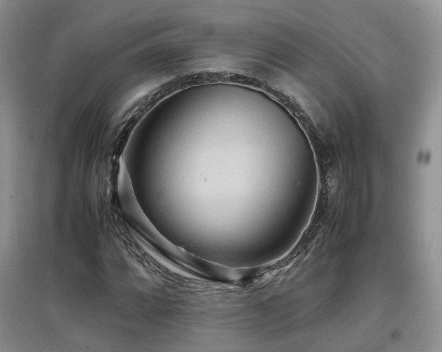 X0000097921064200803141435