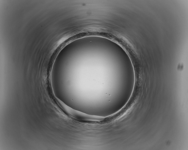 X0000097921065200803141435