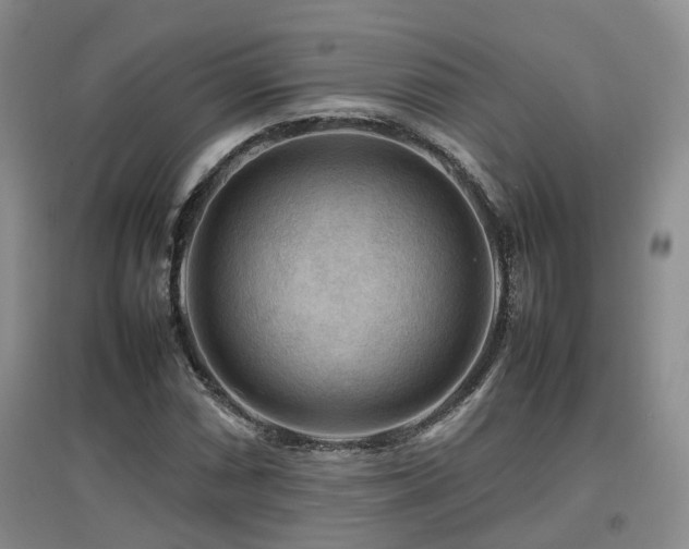 X0000097921066200803141435