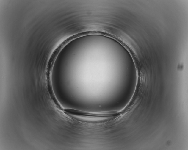 X0000097921068200803141435