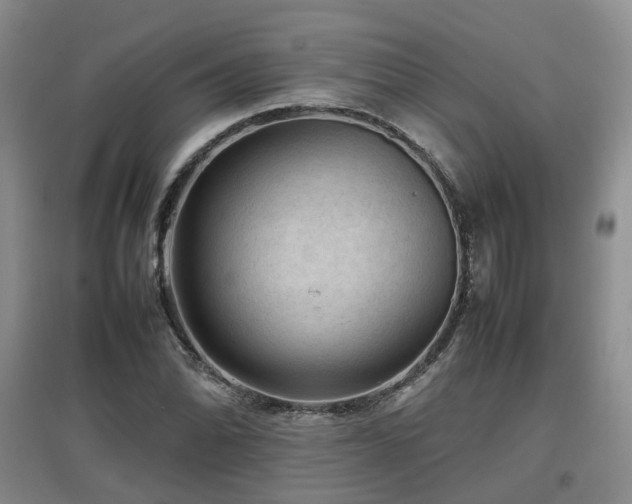 X0000097921070200803141435