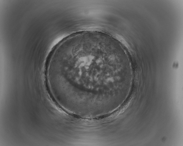 X0000097921071200803141435