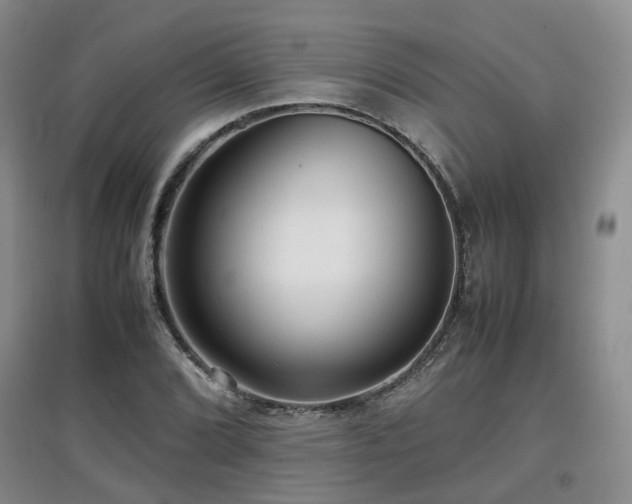 X0000097921072200803141435