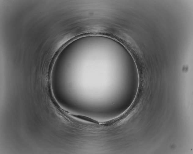 X0000097921073200803141435