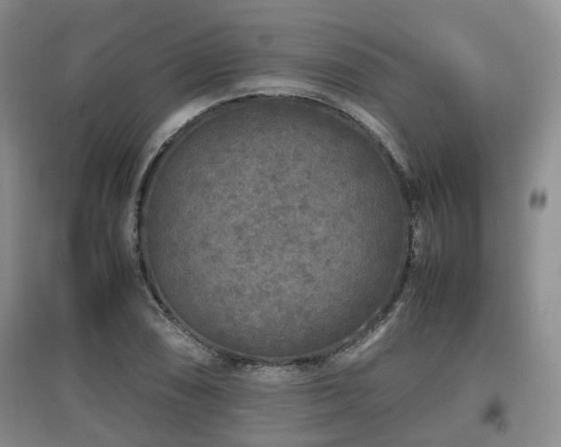 X0000097921074200803141435