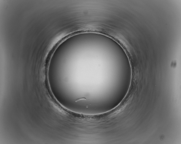 X0000097921075200803141435