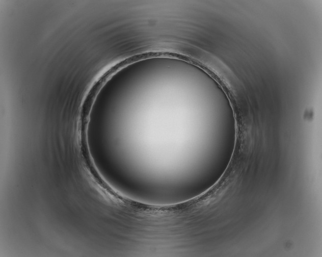 X0000097921076200803141435