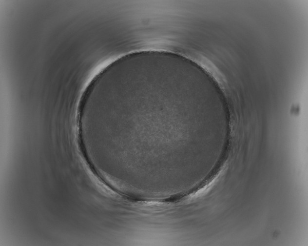 X0000097921077200803141435