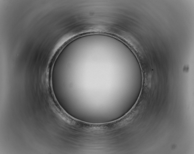 X0000097921078200803141435