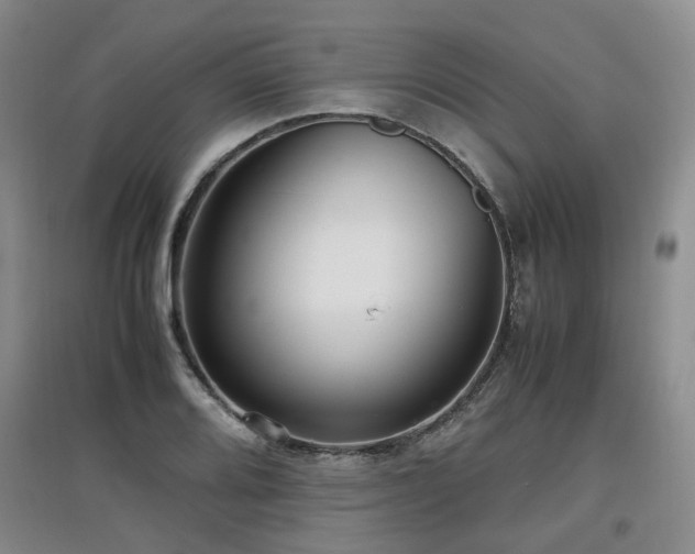 X0000097921080200803141435