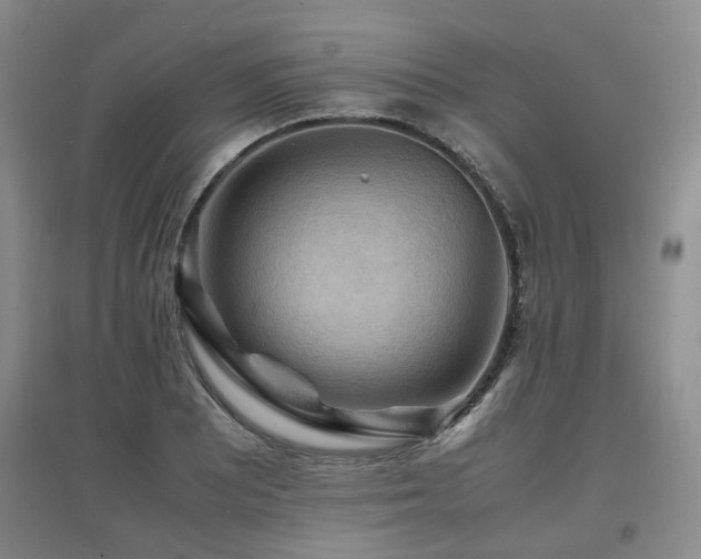 X0000097921081200803141435