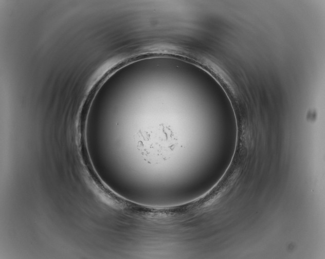 X0000097921082200803141435