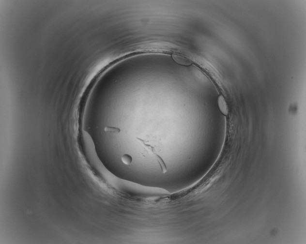 X0000097921083200803141435