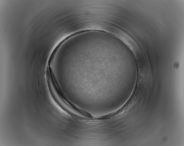 X0000097921084200803141435