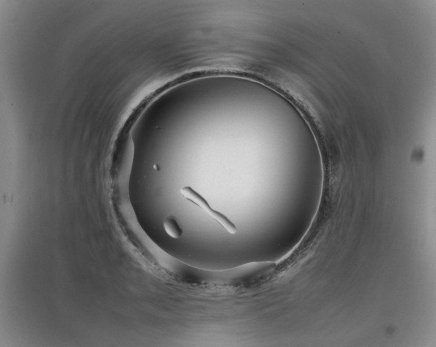 X0000097921085200803141435