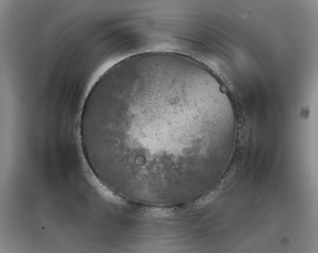 X0000097921086200803141435