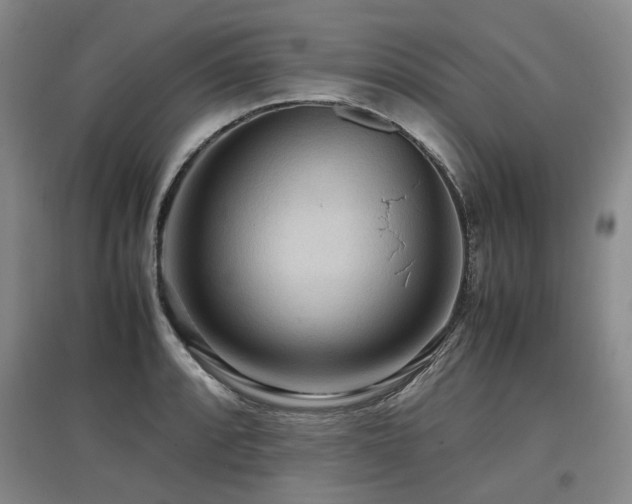 X0000097921088200803141435