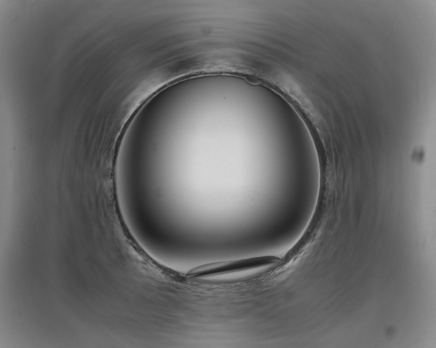 X0000097921089200803141435