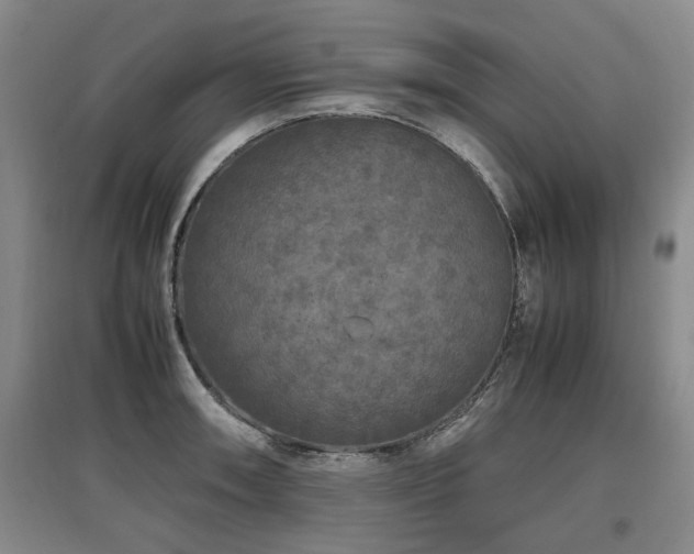 X0000097921090200803141435