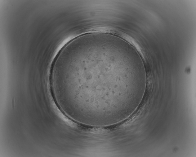 X0000097921091200803141435