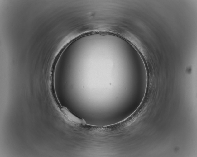 X0000097921093200803141435