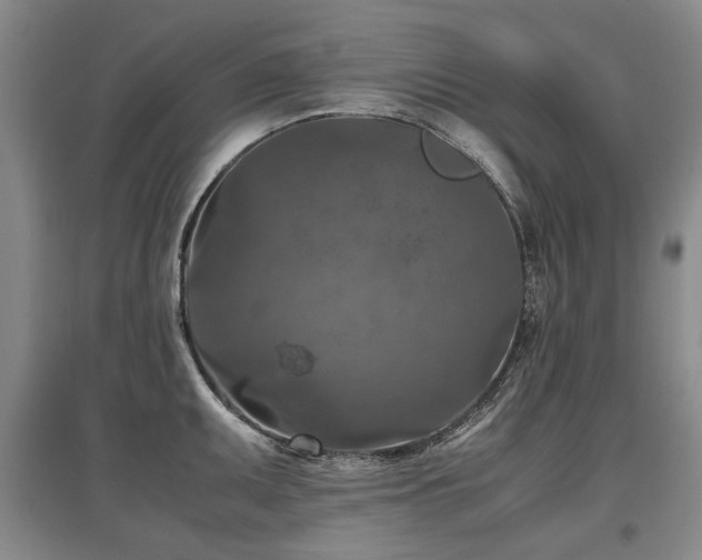 X0000097921095200803141435