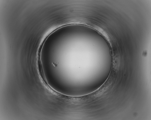 X0000097921096200803141435