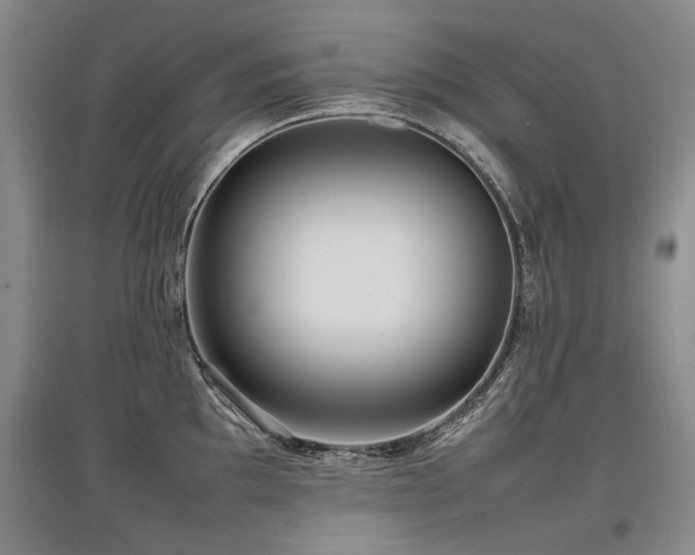 X0000097921097200803141435