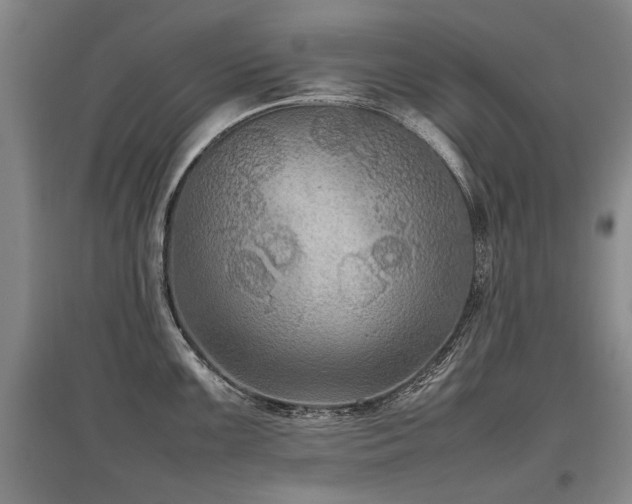 X0000097921099200803141435
