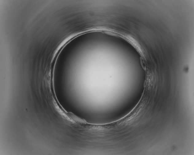 X0000097921100200803141435
