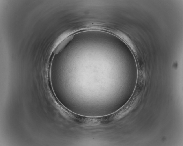 X0000097921101200803141435